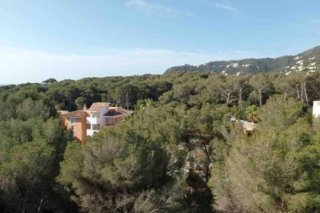 Apartment Seaview 5a Balcony In Canyamel Torre Doy